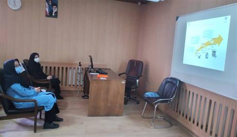  برگزاری نشست تخصصی نظام استاندارد سازی محصولات دانش بنیان وفناورانه در زنجان